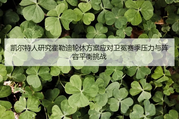凯尔特人研究霍勒迪轮休方案应对卫冕赛季压力与阵容平衡挑战