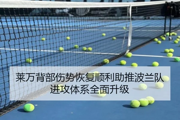 莱万背部伤势恢复顺利助推波兰队进攻体系全面升级
